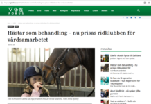Hästar som behandling – nu prisas ridklubben för vårdsamarbetet