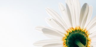 Medkänsla och hopp – om frihet från trauma och dissociation