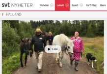 Hästar kan hjälpa personer med schizofreni att må bättre