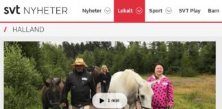 Hästar kan hjälpa personer med schizofreni att må bättre