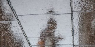 Brittiska psykologförbundet överger psykiatriska diagnoser – The Power Threat Meaning Frame