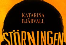 Störningen: ADHD, pillren och det stressade samhället av Katarina Bjärvall