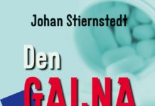 Den galna psykiatrin: Om bristen på andlighet, samtal och psykoterapi av Johan Stiernstedt