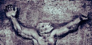 Psykiatrins krig