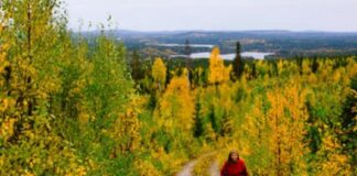 Folkuniversitetet arrangerar föreläsning om hur vi kan minska behovet av “NPF-diagnoser”